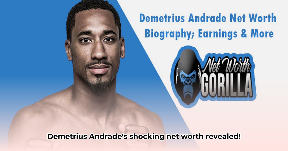 demetrius-andrade-net-worth